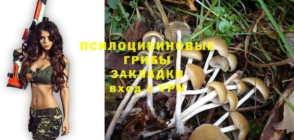 гидра Покачи