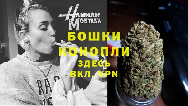 PSILOCYBIN Покров