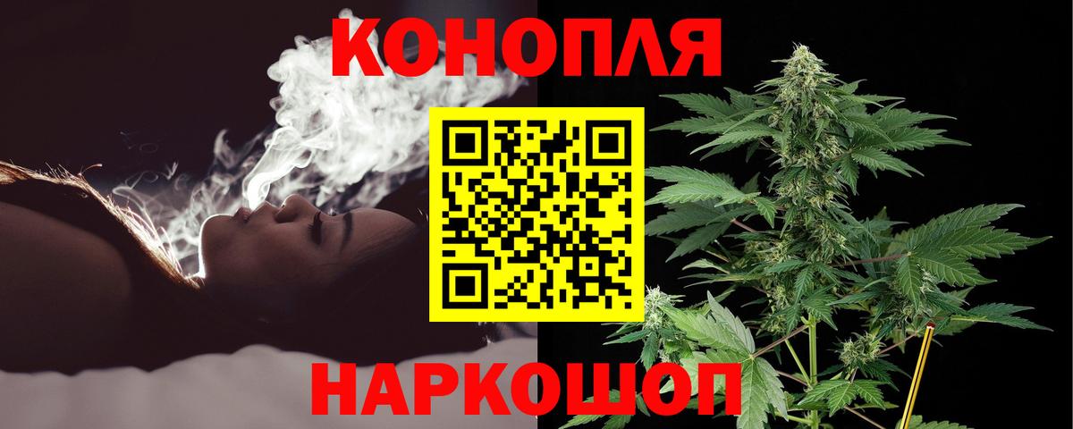 Конопля марихуана Муравленко